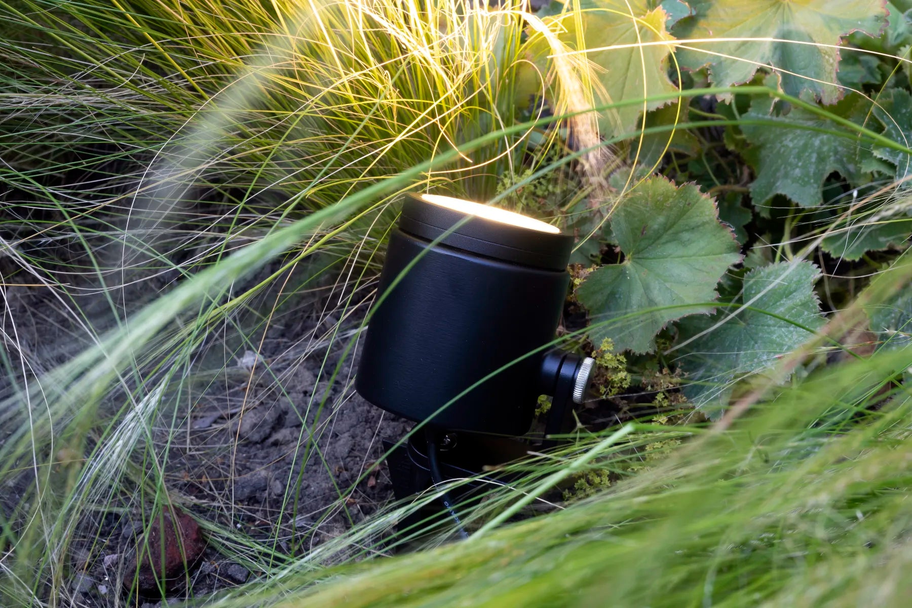 Zwarte tuinspot die warm licht geeft tussen siergrassen in een border