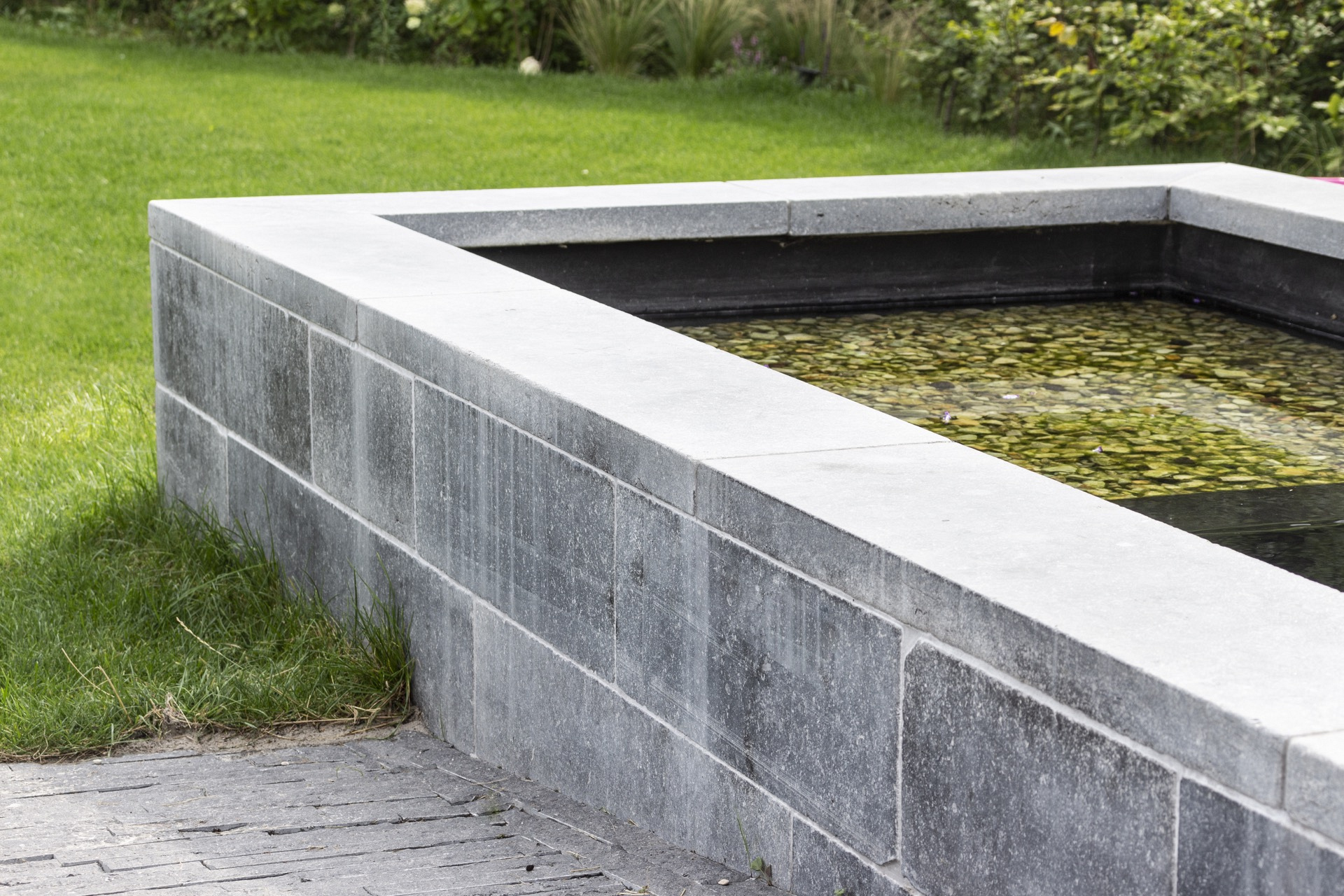 artstone project belgische blauwe steen vijver en terras 3