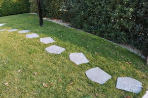 <p>Creëer een prachtig pad of terras met onze hoogwaardige staptegels voor in de tuin. Deze tegels zijn ideaal voor het aanleggen van looppaden, speelruimtes of sfeervolle zitgedeeltes. Met diverse kleuren, formaten en structuren vindt u altijd een tegel die past bij uw tuinontwerp. Staptegels zijn duurzaam, onderhoudsvriendelijk en bieden een natuurlijke, stijlvolle uitstraling die elke buitenruimte complementeert.</p>
