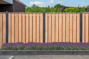 <p>Creëer privacy en sfeer in uw tuin met onze hoogwaardige tuinschermen. Ideaal voor het afbakenen van uw buitenruimte en het toevoegen van een stijlvolle uitstraling. Verkrijgbaar in diverse materialen, kleuren en afmetingen, zodat u altijd een scherm vindt dat perfect bij uw tuinontwerp past. Onze duurzame en weerbestendige tuinschermen zorgen voor een rustige, beschutte plek waar u volop kunt genieten van uw tuin.</p>
