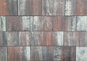 Tremico 30x20x6 cm Twents bont