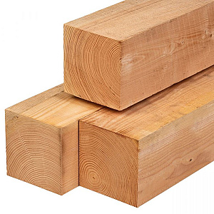 Douglas paal ongedroogd, fijnbezaagd 20,0 x 20,0 x 250 cm