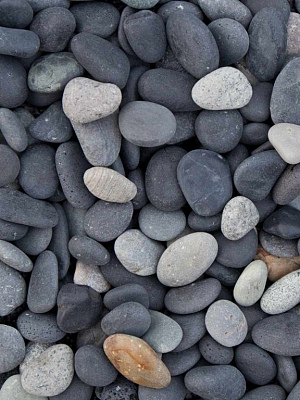 5662 beach pebbles 6948