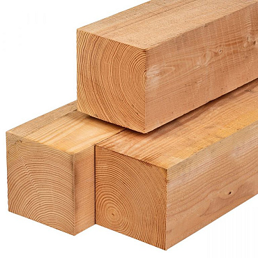 Douglas paal ongedroogd, fijnbezaagd 20,0 x 20,0 x 250 cm