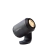 Juno 2