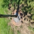 Tree Border Cortenstaal 100cm