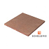 Schellevis Oudhollands Tegel 100x100x5 Roodbruin