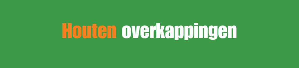 Douglas houten overkapping 300x800
