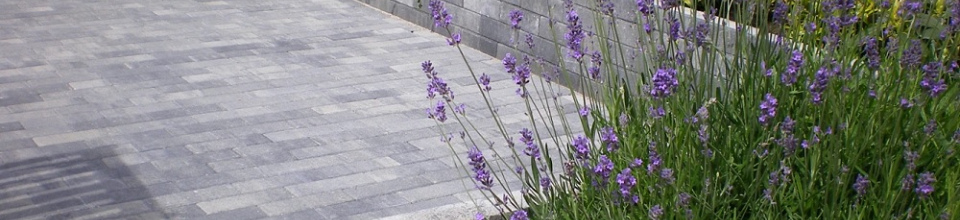 21x7x8cm